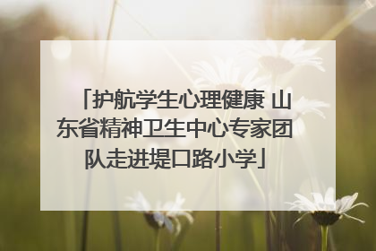 护航学生心理健康 山东省精神卫生中心专家团队走进堤口路小学