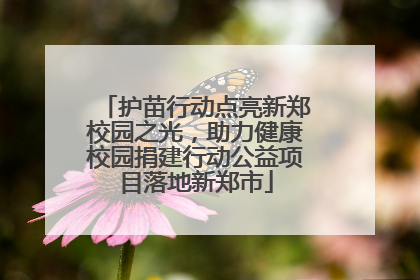 护苗行动点亮新郑校园之光，助力健康校园捐建行动公益项目落地新郑市
