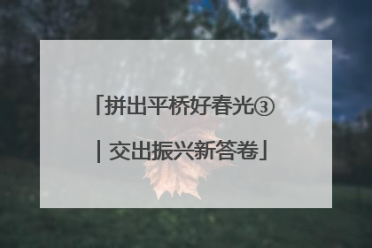 拼出平桥好春光③｜交出振兴新答卷