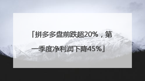 拼多多盘前跌超20%，第一季度净利润下降45%