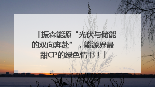 振森能源“光伏与储能的双向奔赴”，能源界最甜CP的绿色情书！