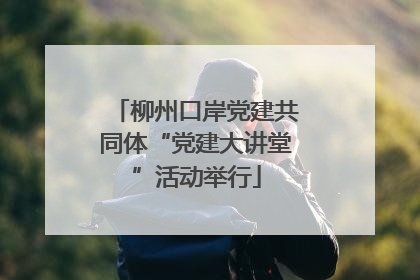 柳州口岸党建共同体“党建大讲堂”活动举行