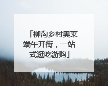 柳沟乡村奥莱端午开街，一站式逛吃游购