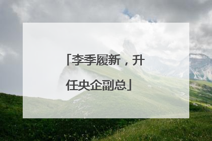 李季履新，升任央企副总
