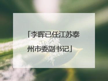 李晖已任江苏泰州市委副书记