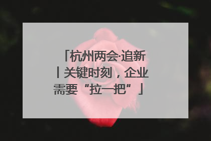 杭州两会·追新丨关键时刻，企业需要“拉一把”