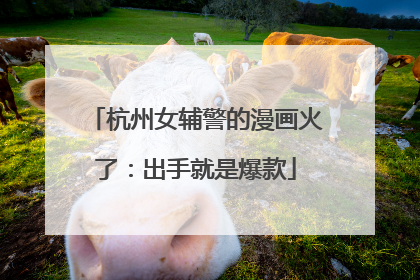 杭州女辅警的漫画火了：出手就是爆款