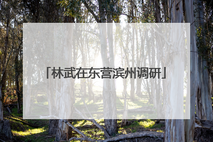 林武在东营滨州调研