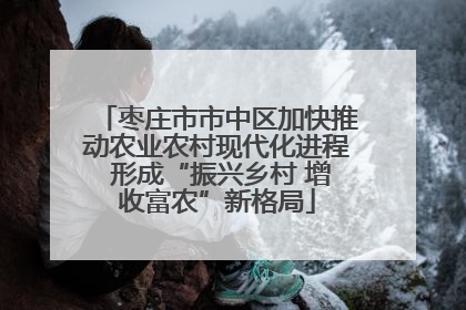枣庄市市中区加快推动农业农村现代化进程 形成“振兴乡村 增收富农”新格局
