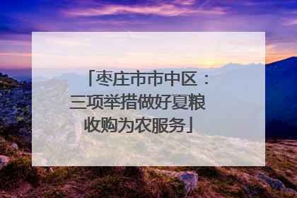 枣庄市市中区：三项举措做好夏粮收购为农服务