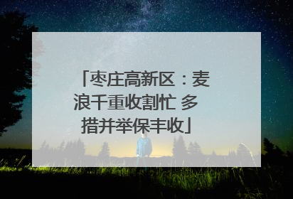 枣庄高新区：麦浪千重收割忙 多措并举保丰收