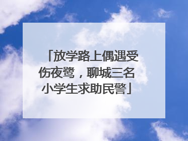 放学路上偶遇受伤夜鹭，聊城三名小学生求助民警