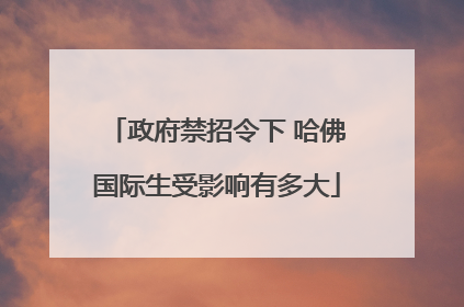 政府禁招令下 哈佛国际生受影响有多大
