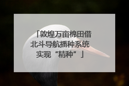 敦煌万亩棉田借北斗导航播种系统实现“精种”