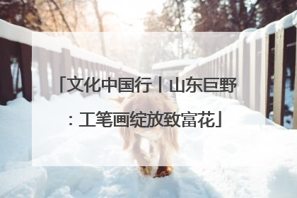 文化中国行丨山东巨野：工笔画绽放致富花
