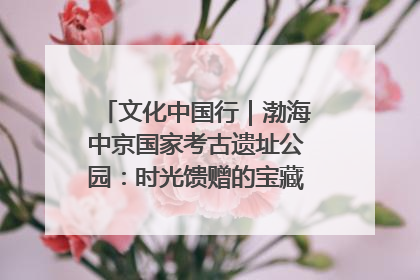 文化中国行｜渤海中京国家考古遗址公园：时光馈赠的宝藏 历史凝固的诗篇