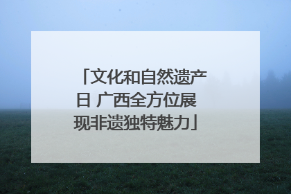 文化和自然遗产日 广西全方位展现非遗独特魅力