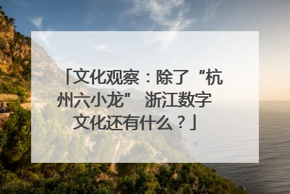 文化观察：除了“杭州六小龙” 浙江数字文化还有什么？