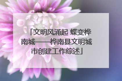 文明风涌起 蝶变桦南城——桦南县文明城市创建工作综述