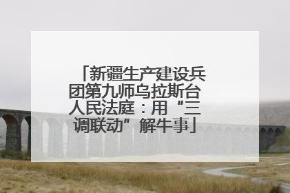 新疆生产建设兵团第九师乌拉斯台人民法庭：用“三调联动”解牛事