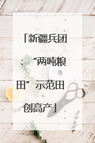新疆兵团：“两吨粮田”示范田创高产