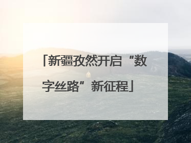 新疆孜然开启“数字丝路”新征程