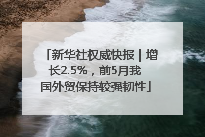 新华社权威快报｜增长2.5%，前5月我国外贸保持较强韧性