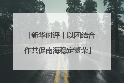 新华时评丨以团结合作共促南海稳定繁荣