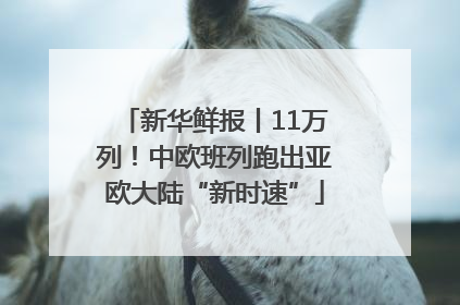 新华鲜报丨11万列！中欧班列跑出亚欧大陆“新时速”