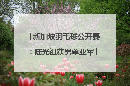 新加坡羽毛球公开赛：陆光祖获男单亚军