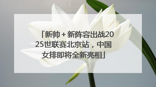 新帅＋新阵容出战2025世联赛北京站，中国女排即将全新亮相