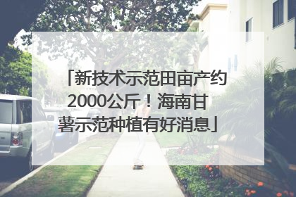 新技术示范田亩产约2000公斤！海南甘薯示范种植有好消息