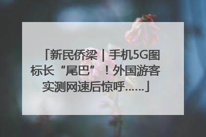 新民侨梁｜手机5G图标长“尾巴”！外国游客实测网速后惊呼……