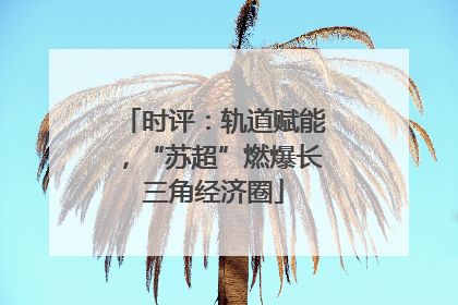 时评：轨道赋能，“苏超”燃爆长三角经济圈