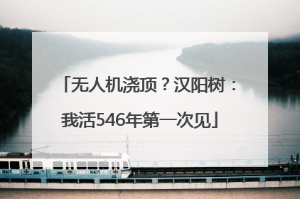 无人机浇顶？汉阳树：我活546年第一次见