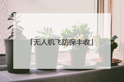 无人机飞防保丰收