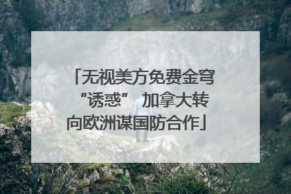 无视美方免费金穹“诱惑” 加拿大转向欧洲谋国防合作