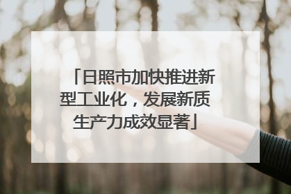 日照市加快推进新型工业化，发展新质生产力成效显著