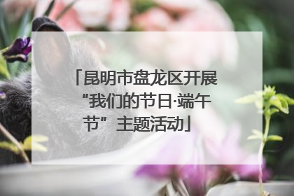 昆明市盘龙区开展“我们的节日·端午节”主题活动