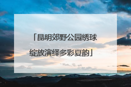 昆明郊野公园绣球绽放演绎多彩夏韵