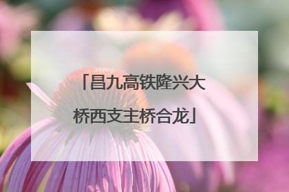 昌九高铁隆兴大桥西支主桥合龙