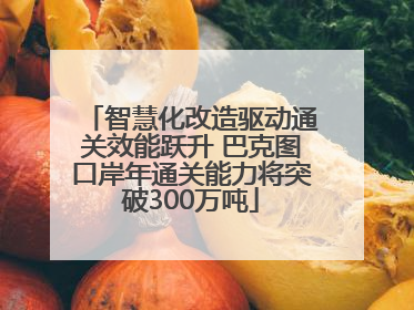 智慧化改造驱动通关效能跃升 巴克图口岸年通关能力将突破300万吨