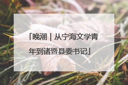 晚潮｜从宁海文学青年到诸暨县委书记