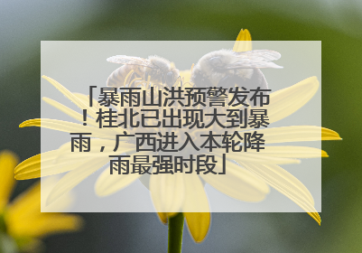 暴雨山洪预警发布！桂北已出现大到暴雨，广西进入本轮降雨最强时段