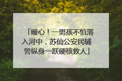 暖心！一男孩不慎落入河中，苏仙公安民辅警纵身一跃硬核救人