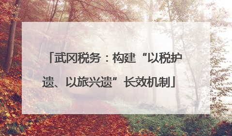 武冈税务：构建“以税护遗、以旅兴遗”长效机制