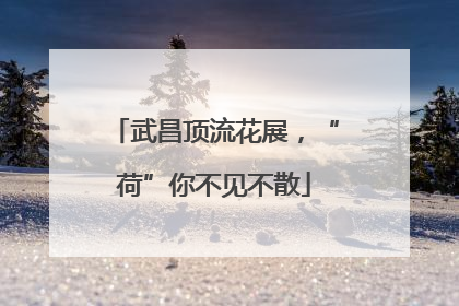 武昌顶流花展，“荷”你不见不散