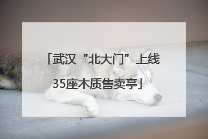 武汉“北大门”上线35座木质售卖亭