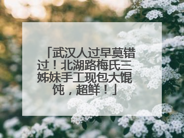 武汉人过早莫错过！北湖路梅氏三姊妹手工现包大馄饨，超鲜！