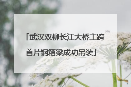 武汉双柳长江大桥主跨首片钢箱梁成功吊装